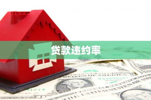 漳平贷款违约率