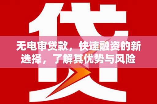 漳平无电审贷款，快速融资的新选择，了解其优势与风险
