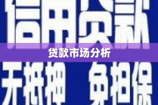 漳平贷款市场分析