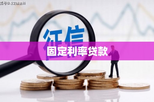 漳平固定利率贷款