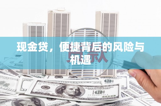 漳平现金贷，便捷背后的风险与机遇