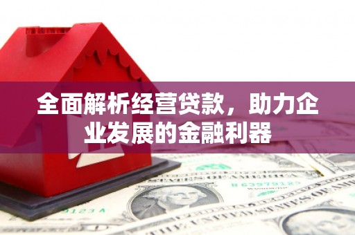 漳平全面解析经营贷款，助力企业发展的金融利器