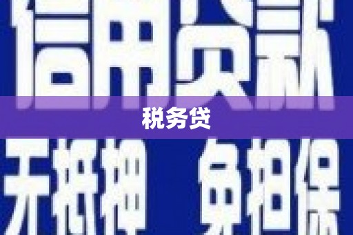 漳平税务贷