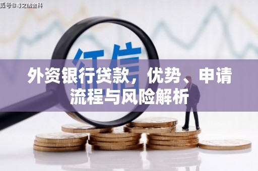 漳平外资银行贷款，优势、申请流程与风险解析