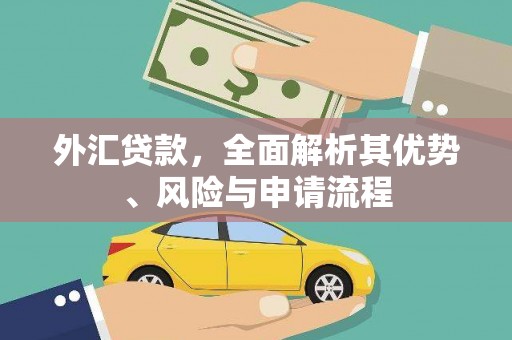 漳平外汇贷款，全面解析其优势、风险与申请流程