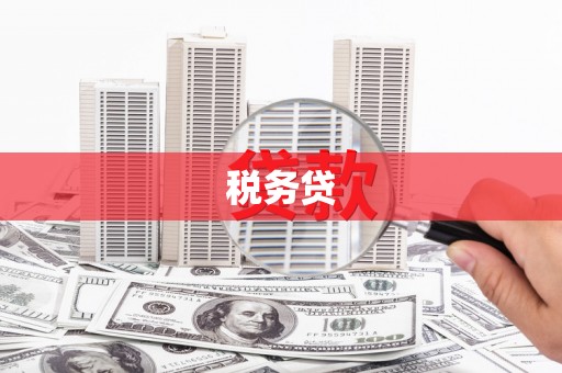 漳平税务贷