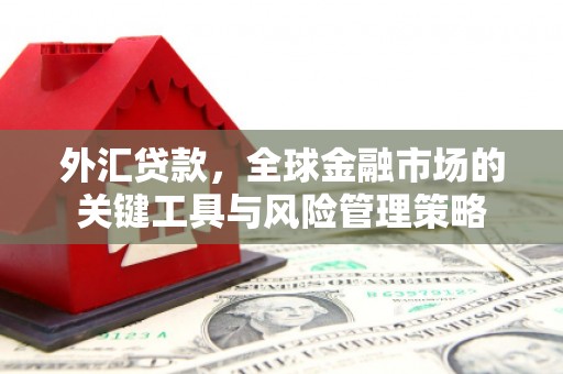 漳平外汇贷款，全球金融市场的关键工具与风险管理策略
