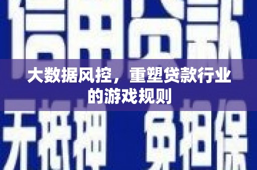 漳平大数据风控，重塑贷款行业的游戏规则