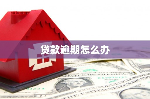 漳平贷款逾期怎么办