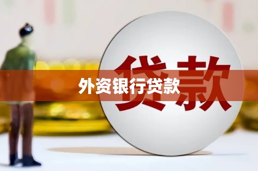 漳平外资银行贷款