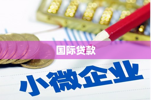 漳平国际贷款