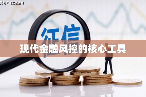 漳平现代金融风控的核心工具