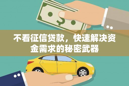漳平不看征信贷款，快速解决资金需求的秘密武器