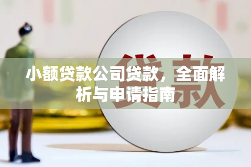 漳平小额贷款公司贷款，全面解析与申请指南