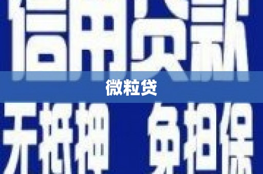 漳平微粒贷