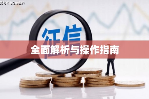 漳平全面解析与操作指南