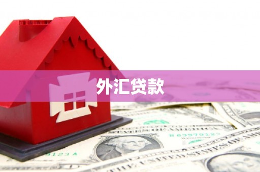 漳平外汇贷款