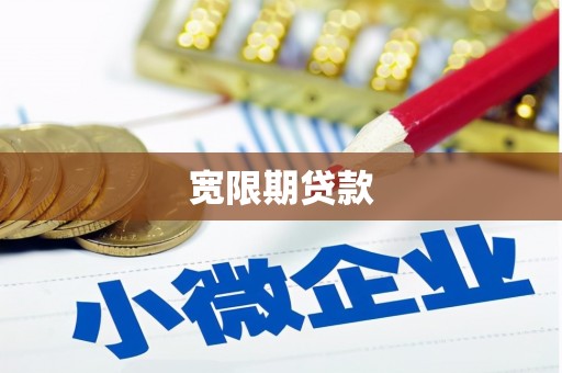 漳平宽限期贷款