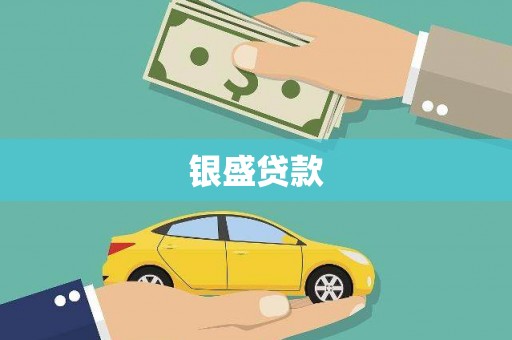 漳平银盛贷款