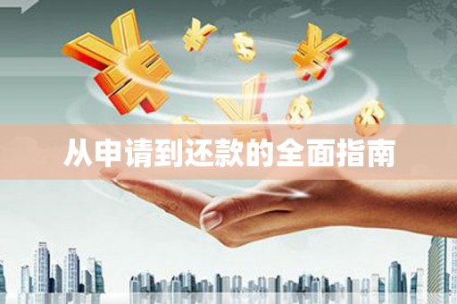 漳平从申请到还款的全面指南