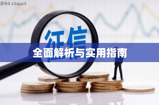 漳平全面解析与实用指南