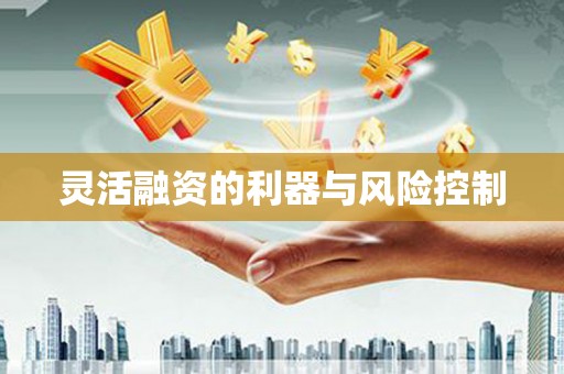 漳平灵活融资的利器与风险控制