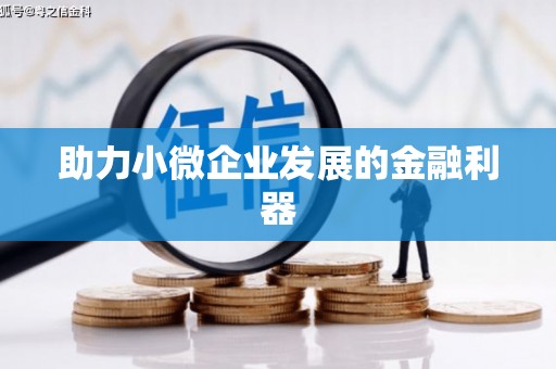 漳平助力小微企业发展的金融利器