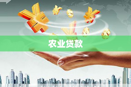 漳平农业贷款