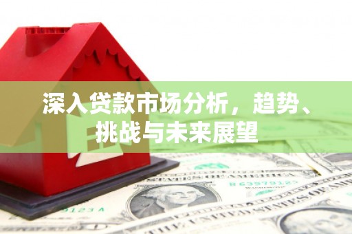 漳平深入贷款市场分析，趋势、挑战与未来展望