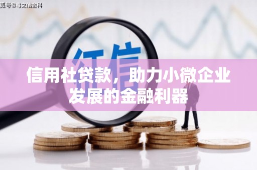 漳平信用社贷款，助力小微企业发展的金融利器