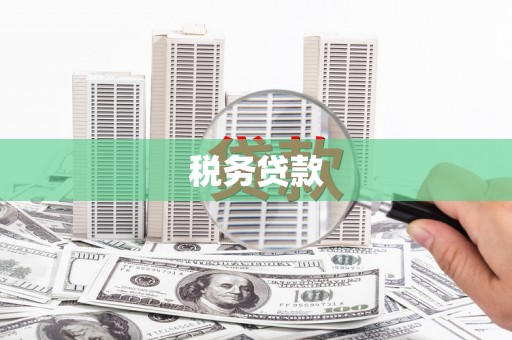 漳平税务贷款