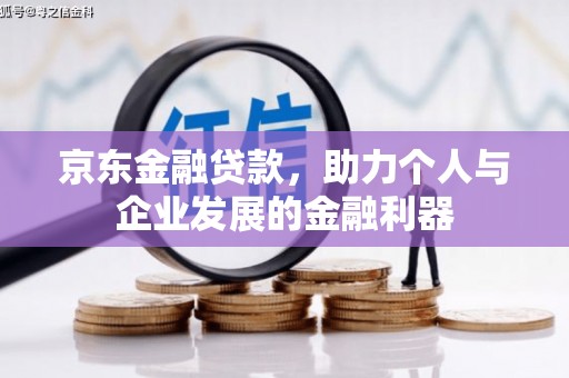 漳平京东金融贷款，助力个人与企业发展的金融利器