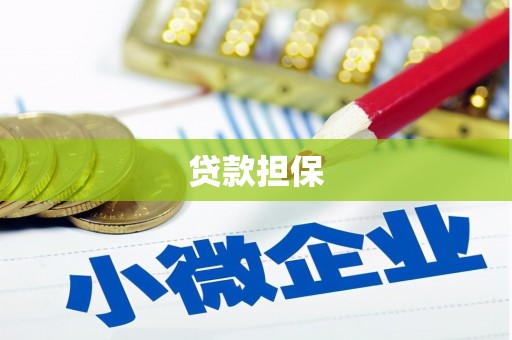 漳平贷款担保