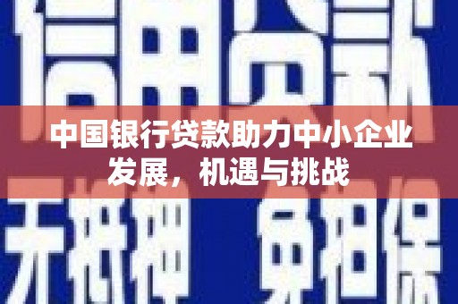 漳平中国银行贷款助力中小企业发展，机遇与挑战