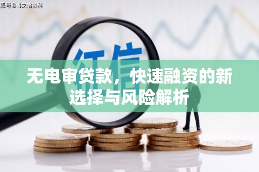 漳平无电审贷款，快速融资的新选择与风险解析
