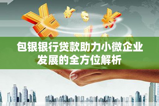 漳平包银银行贷款助力小微企业发展的全方位解析