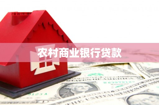 漳平农村商业银行贷款