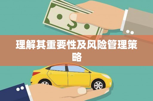 漳平理解其重要性及风险管理策略