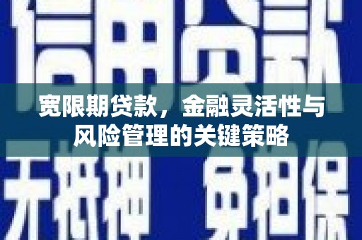 漳平宽限期贷款，金融灵活性与风险管理的关键策略