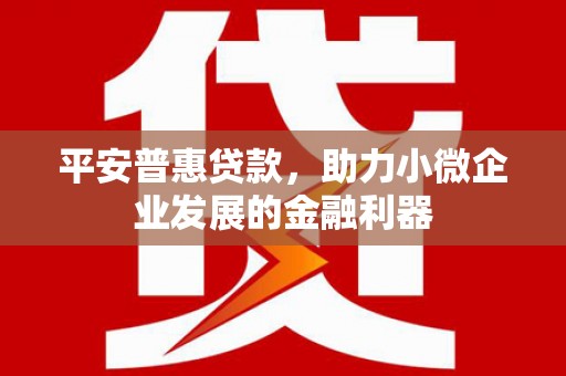 漳平平安普惠贷款，助力小微企业发展的金融利器