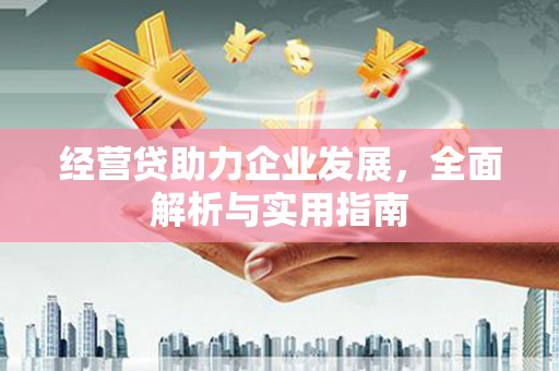 漳平经营贷助力企业发展，全面解析与实用指南