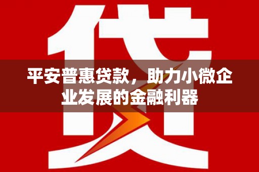 漳平平安普惠贷款，助力小微企业发展的金融利器