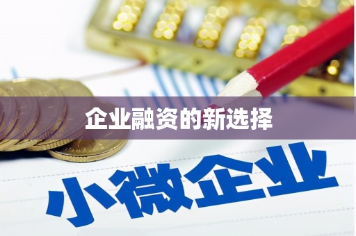 漳平企业融资的新选择