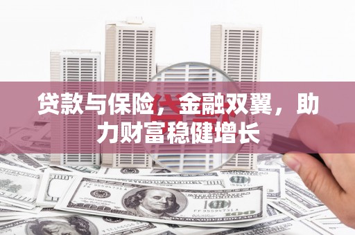 漳平贷款与保险，金融双翼，助力财富稳健增长
