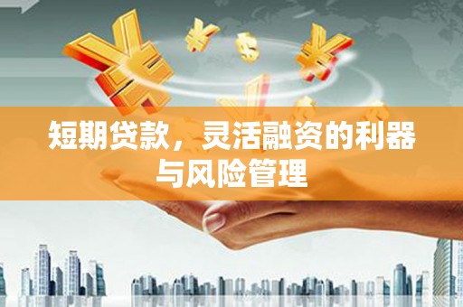 漳平短期贷款，灵活融资的利器与风险管理