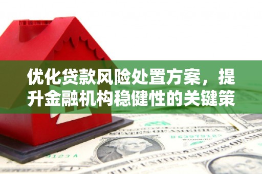 漳平优化贷款风险处置方案，提升金融机构稳健性的关键策略