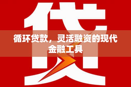漳平循环贷款，灵活融资的现代金融工具