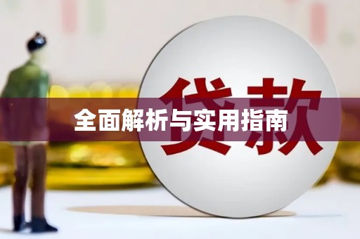 漳平全面解析与实用指南