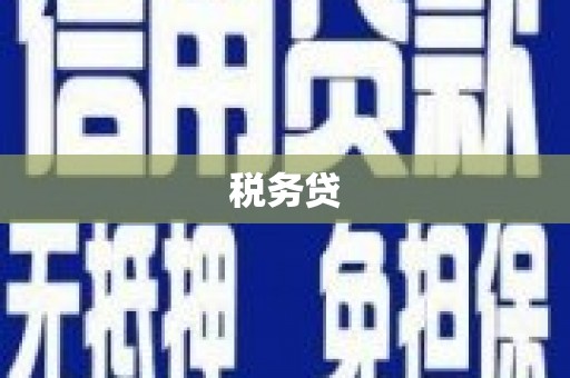 漳平税务贷