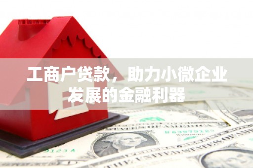 漳平工商户贷款，助力小微企业发展的金融利器